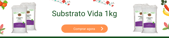 Substrato Vida 1kg