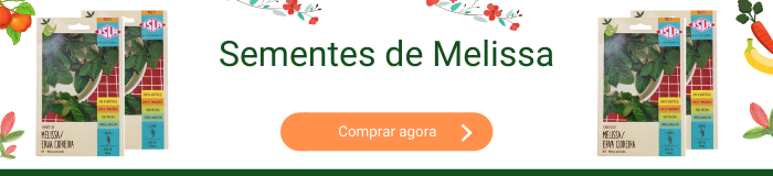 Sementes de melissa