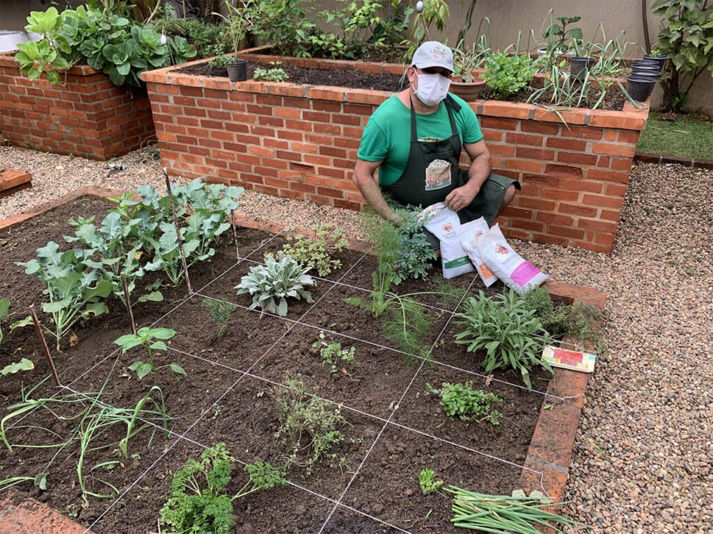 Canteiro orgânico de chás e temperos
