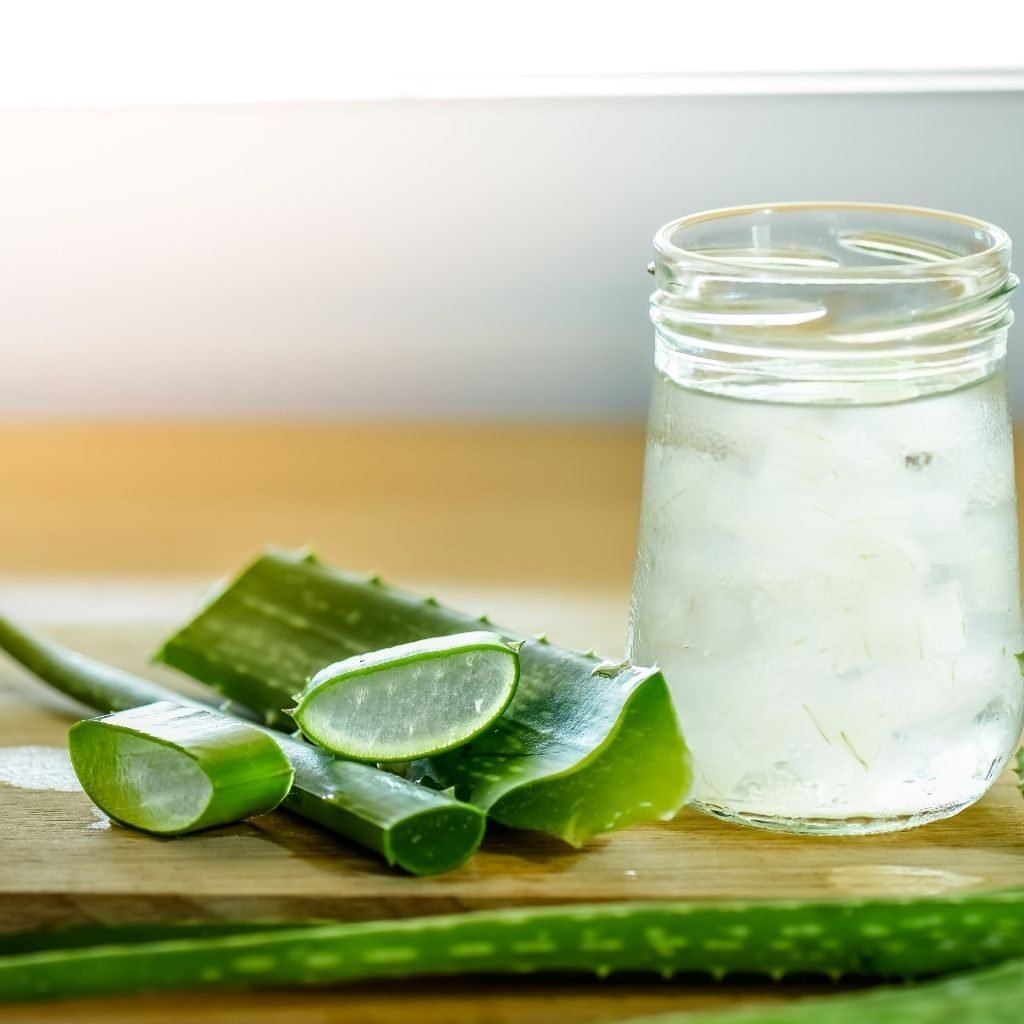 Gel da Babosa, uma planta Milagrosa