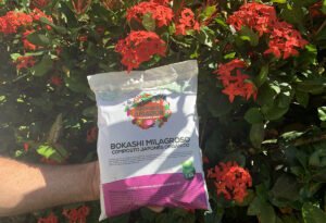 Bokashi Milagroso do Jardineiro Amador Capa