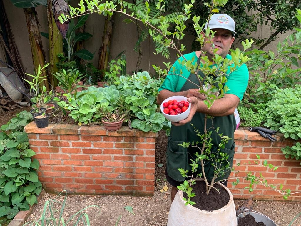 Acerola do Jardineiro Amador