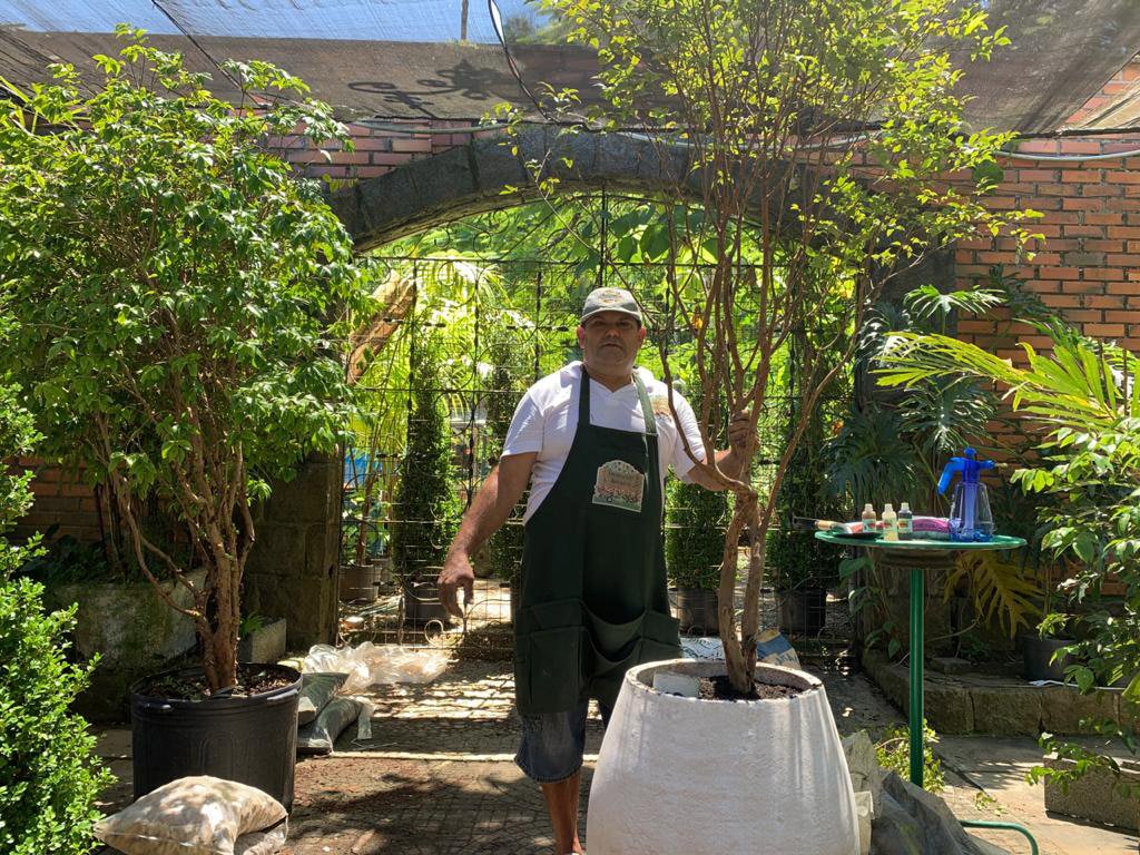 Jabuticaba do Jardineiro Amador