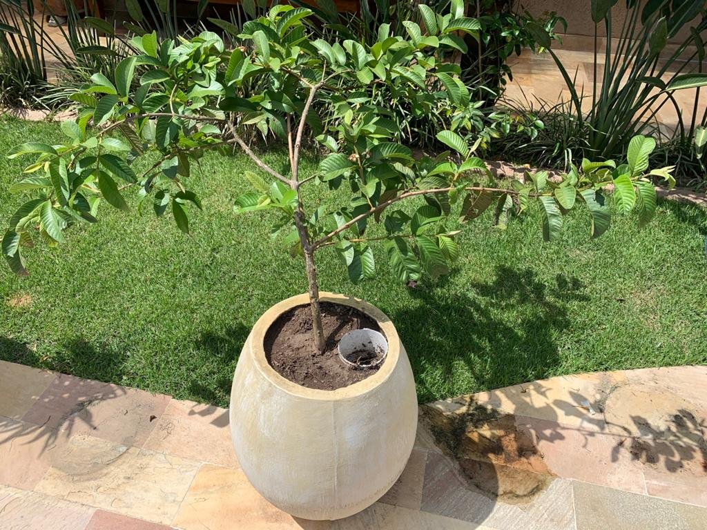 Vaso com cano de PVC