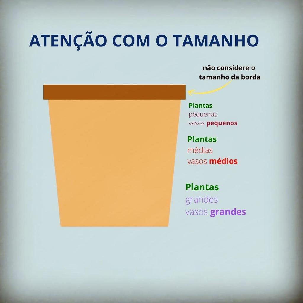 Como preparar vasos para plantar flores e frutas