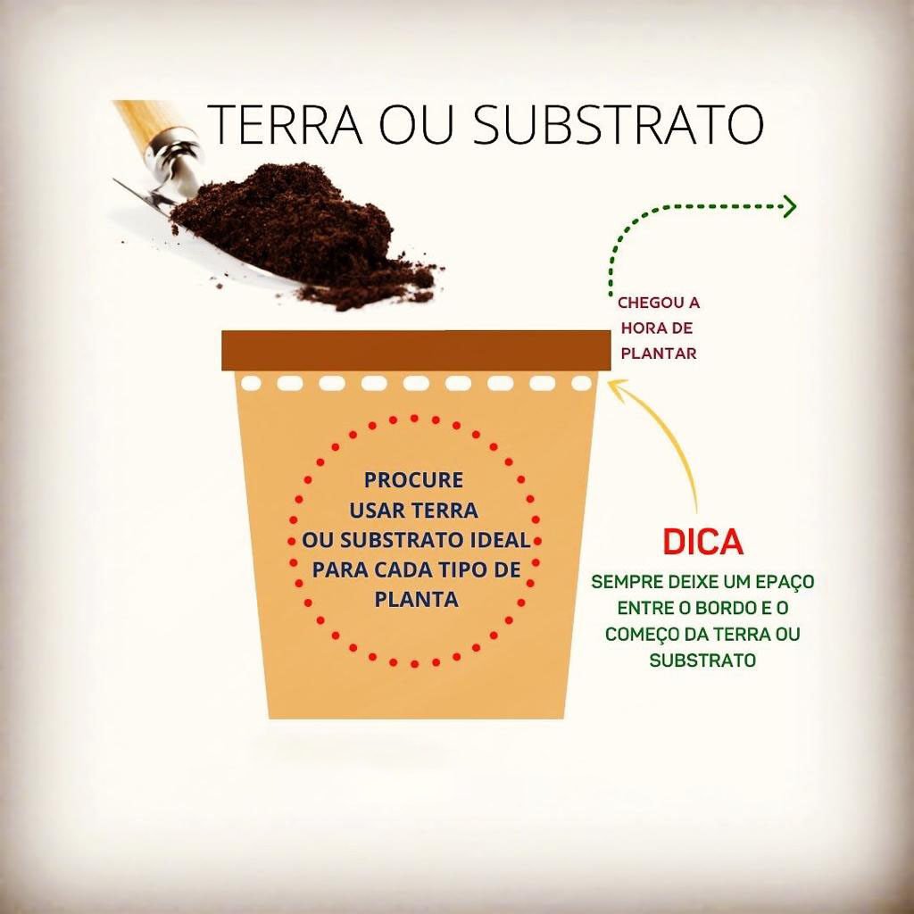 Como preparar vasos para plantar flores e frutas