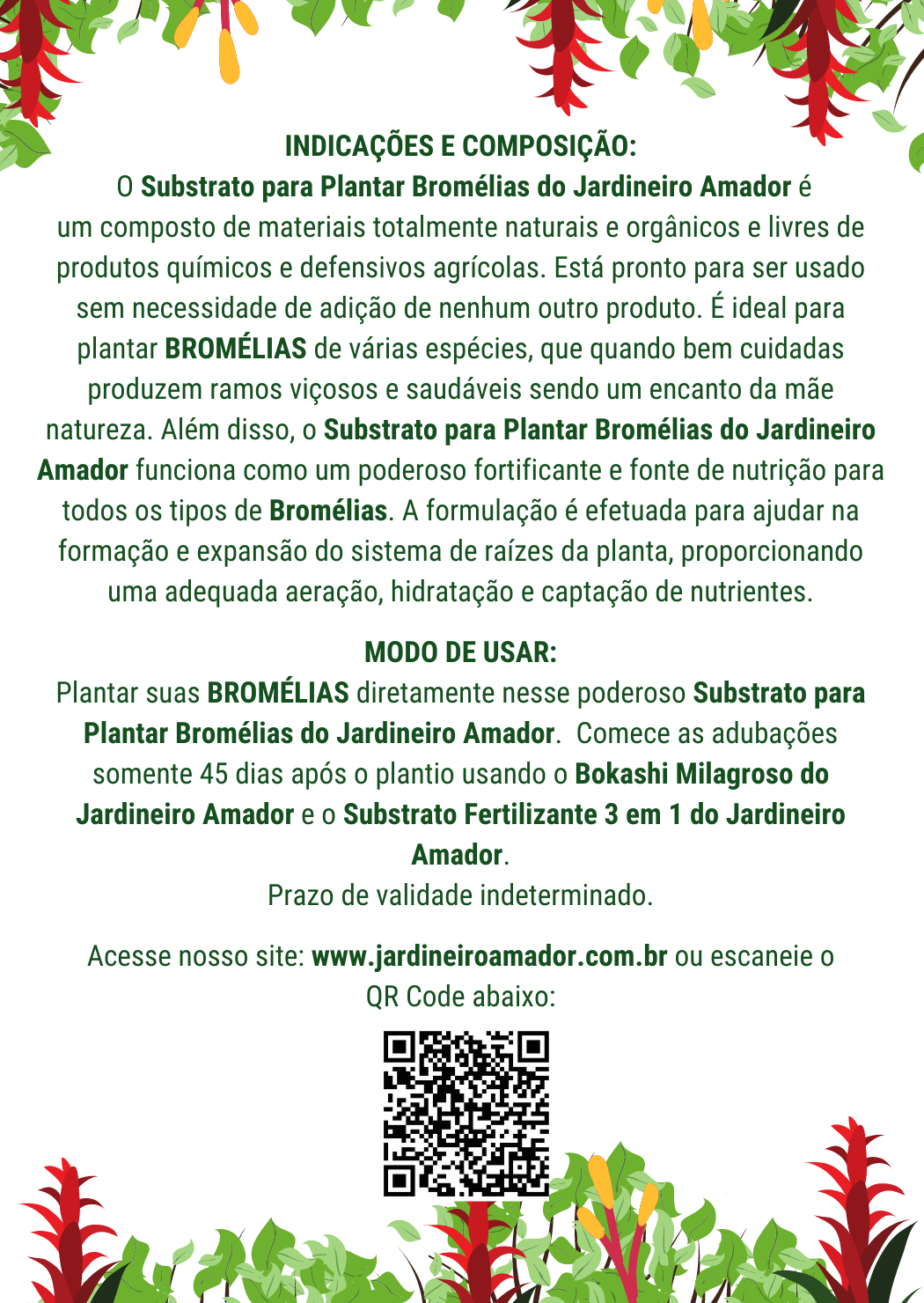 Flyer Bromélias Verso