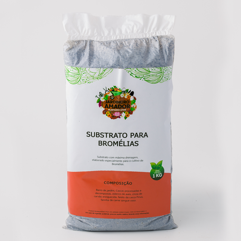 bromelias Substrato Para Plantar Bromélias