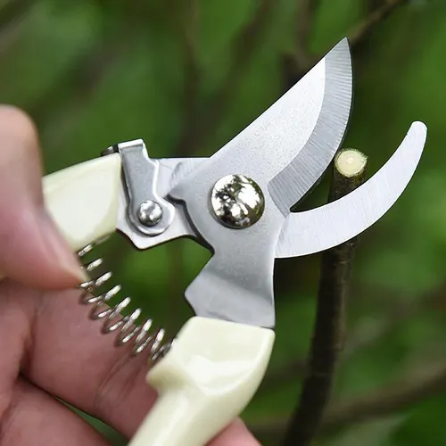 tesoura-de-poda Tesoura De Poda Inox Do Jardineiro Amador