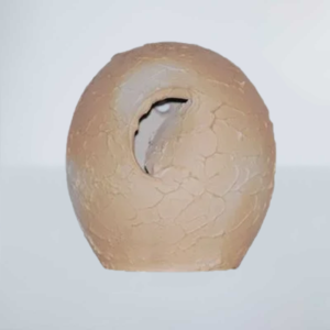 Casa de João de Barro