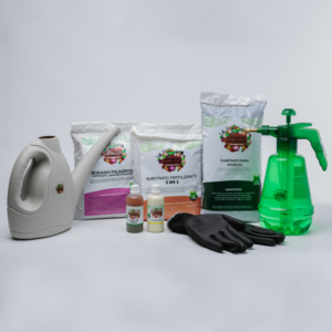 Kit Para Plantar Avencas