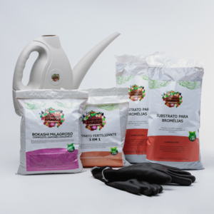 Kit Para Plantar Bromélia