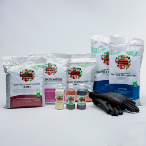 Kit Para Plantar Cactos E Suculentas