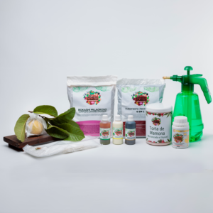 Kit para Plantar Frutas em Vasos