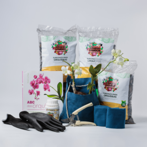 Kit Para Orquídea Na Árvore