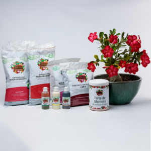 Kit Para Plantar Rosa do Deserto
