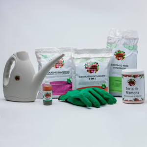 Kit Para Plantar Samambaias