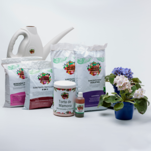 Kit Para Plantar Violetas