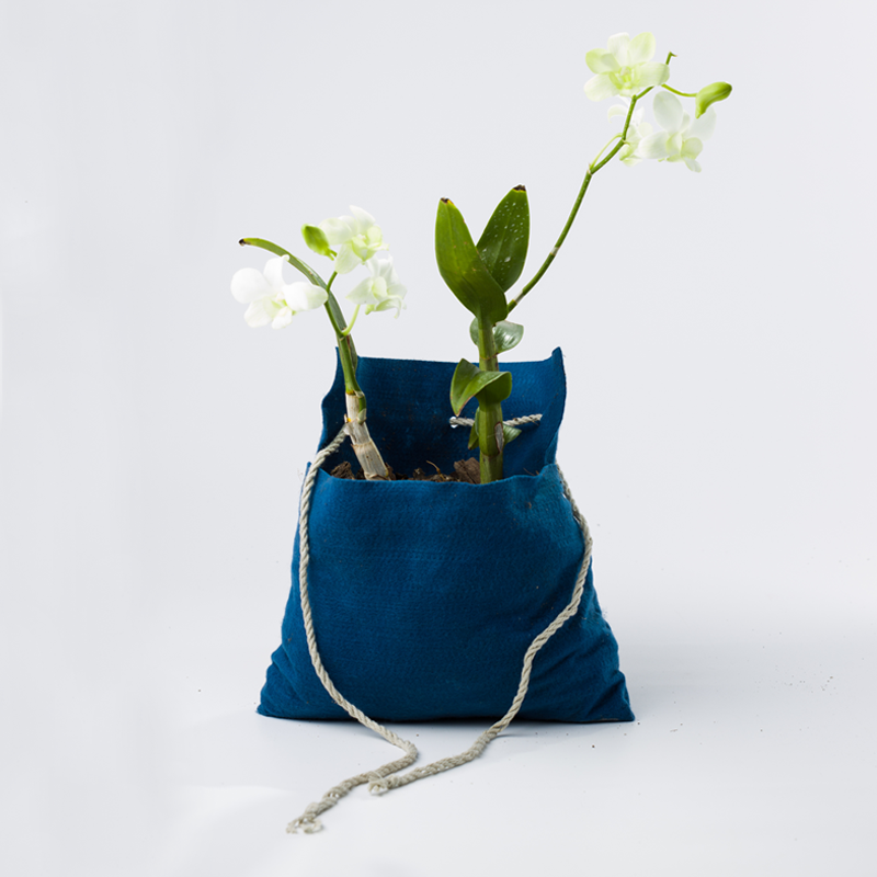 saquinho-ecologico Saquinho Ecológico De Feltro Para Plantar Orquídeas Na Árvore