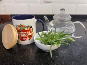 Benefícios do Chá de Lavanda